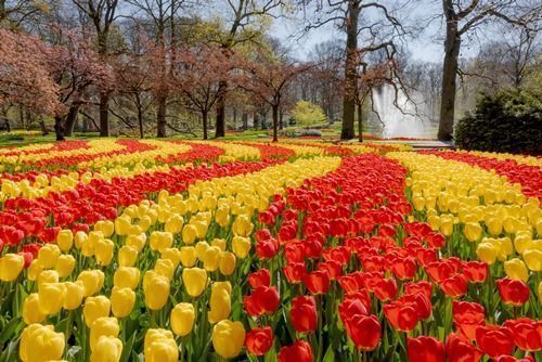 el jardín más bello del mundo