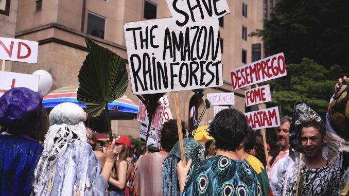 ¿Podrá Lula salvar el Amazonas?
