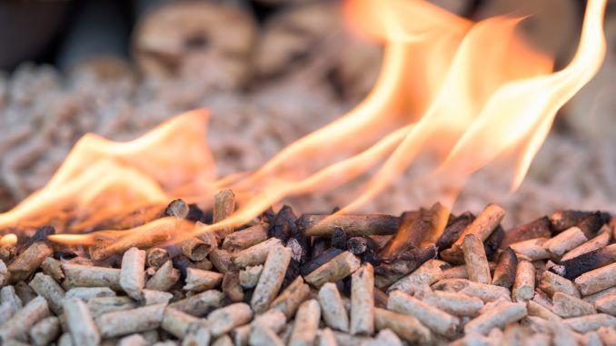 Estufas de biomasa: los nuevos ingredientes para el pélet más eficientes y baratos