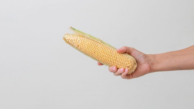 Los carotenoides de las plantas y sus beneficios para la piel