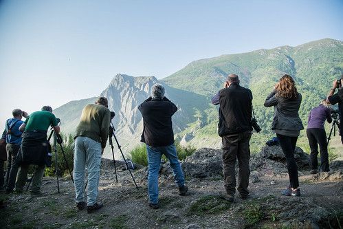 España es líder europeo en espacios protegidos, biodiversidad y recuperación de especies en peligro España es líder europeo en espacios protegidos, biodiversidad y recuperación de especies en peligro