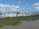 El oasis urbano de Shenzhen que propicia la conservación de manglares y fomenta la biodiversidad
