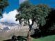 El Corredor de Ecoturismo de la España Verde iniciará