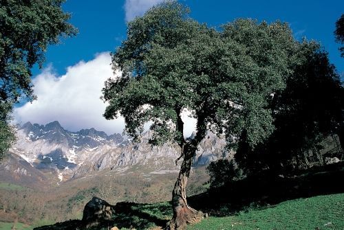 El Corredor de Ecoturismo de la España Verde iniciará